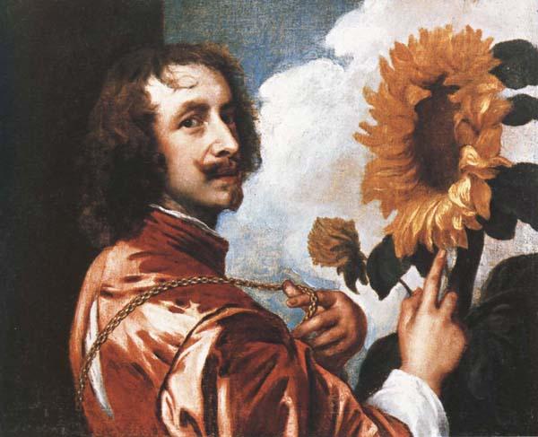 Anthony Van Dyck Self-Portrait with a Sunflower oil painting image